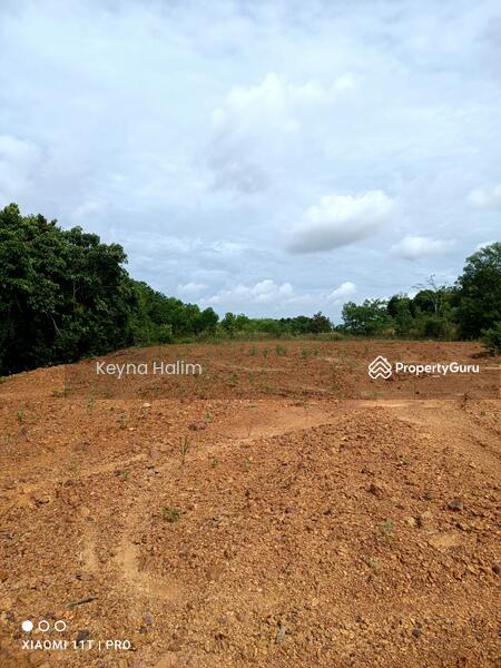 For Sale - Taman Desa Rusa