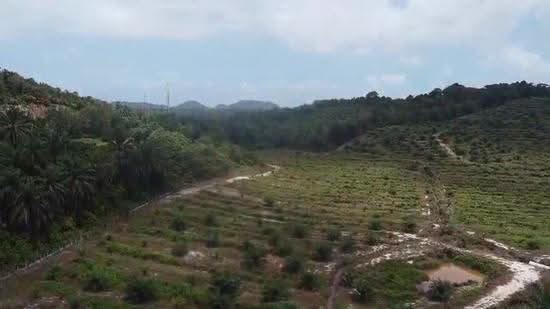Tanah Pertanian untuk Dijual di Mersing (Johor) - Eddie Lai - PropertyGuru.com.my