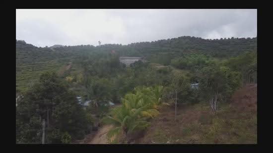 Tanah Pertanian untuk Dijual di Mersing (Johor) - Eddie Lai - PropertyGuru.com.my