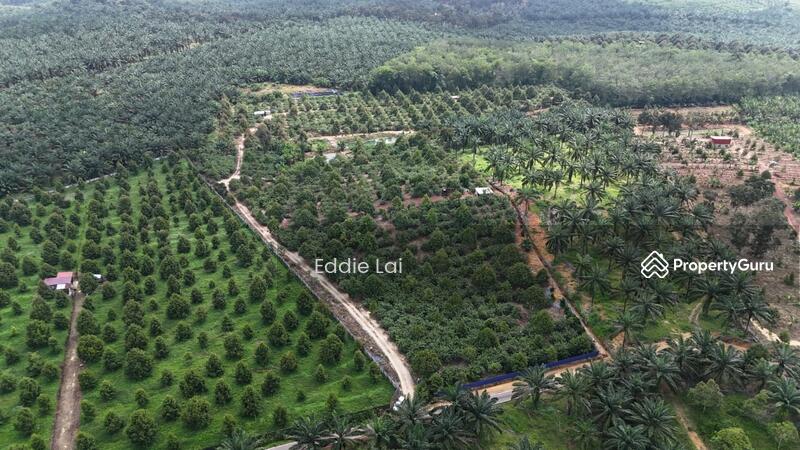 Tanah Pertanian untuk Dijual di Mersing (Johor) - Eddie Lai - PropertyGuru.com.my