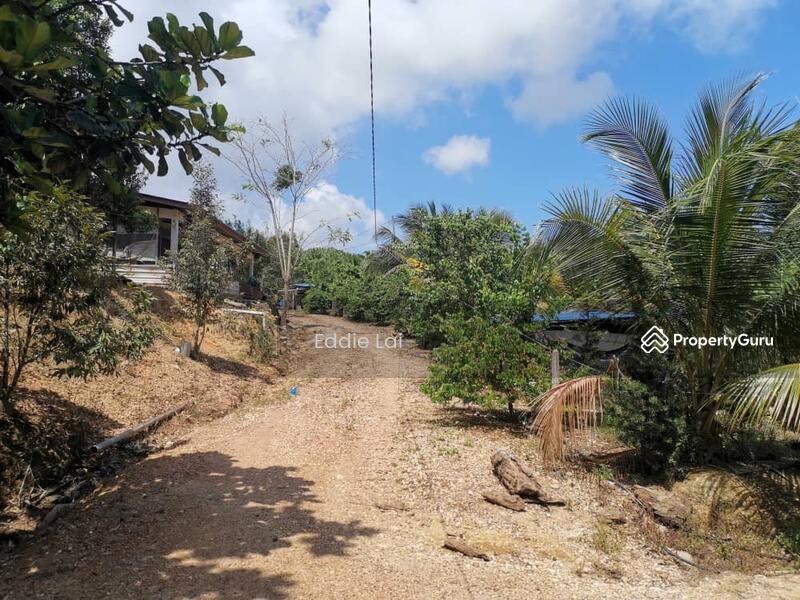 Tanah Pertanian untuk Dijual di Mersing (Johor) - Eddie Lai - PropertyGuru.com.my