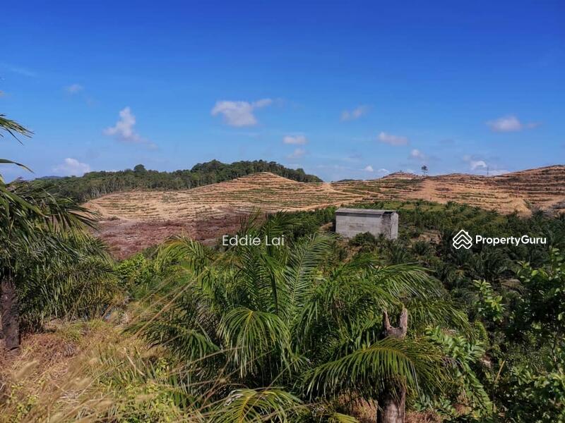 Tanah Pertanian untuk Dijual di Mersing (Johor) - Eddie Lai - PropertyGuru.com.my