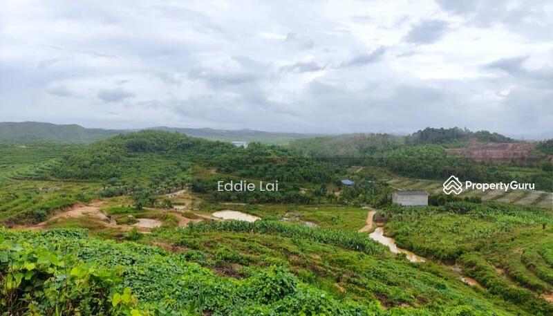 Tanah Pertanian untuk Dijual di Mersing (Johor) - Eddie Lai - PropertyGuru.com.my