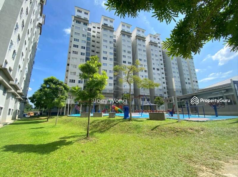 For Sale - Alpinia