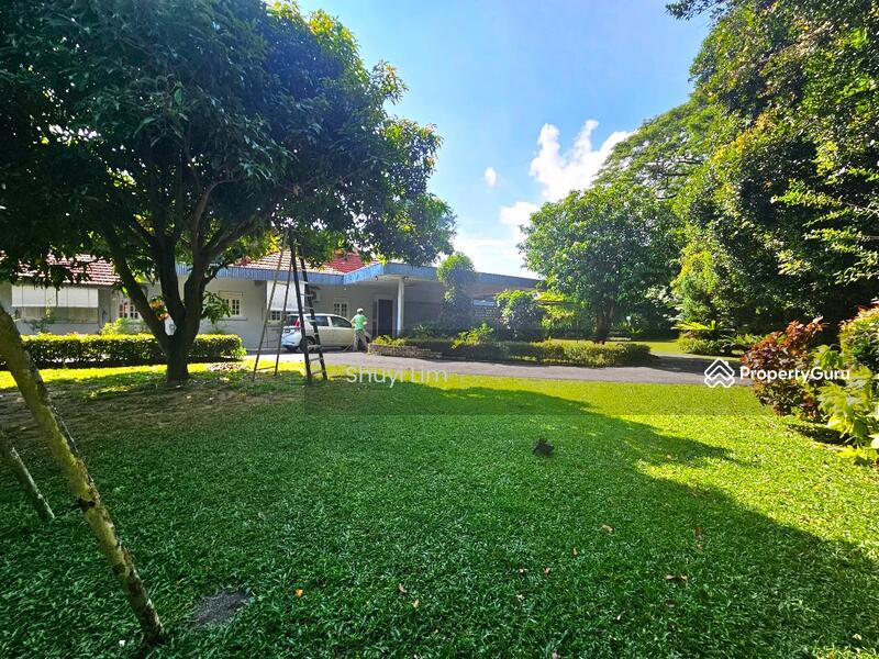Tanah Kediaman untuk Dijual di Pulau Tikus (George Town) - Shuyi Lim - PropertyGuru.com.my