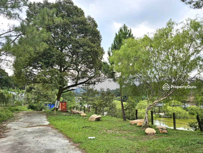 Agricultural Land for Sale in Hulu Langat (Selangor) - Earon Chong - PropertyGuru.com.my