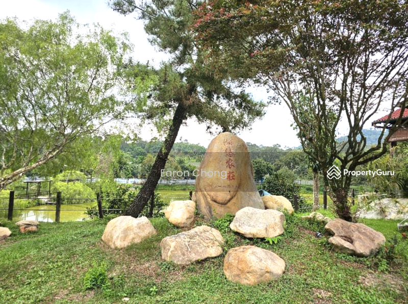 Agricultural Land for Sale in Hulu Langat (Selangor) - Earon Chong - PropertyGuru.com.my
