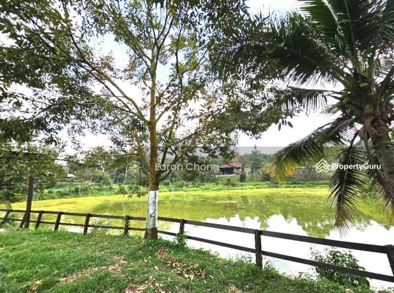 Agricultural Land for Sale in Hulu Langat (Selangor) - Earon Chong - PropertyGuru.com.my