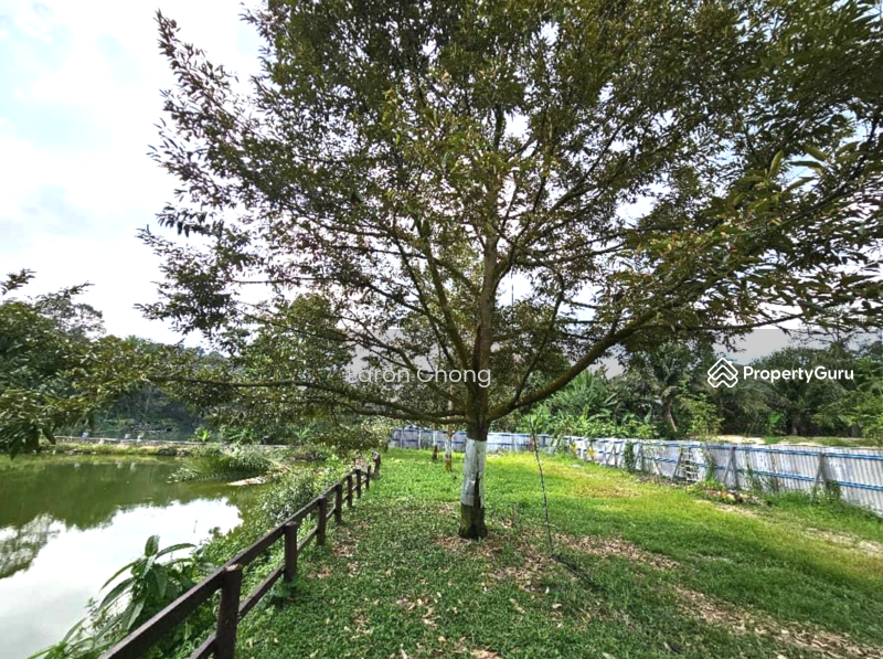 Agricultural Land for Sale in Hulu Langat (Selangor) - Earon Chong - PropertyGuru.com.my
