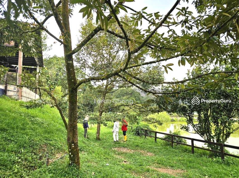 Agricultural Land for Sale in Hulu Langat (Selangor) - Earon Chong - PropertyGuru.com.my
