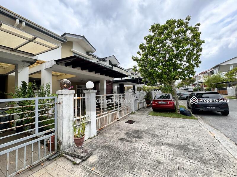 For Sale - D'Alpinia