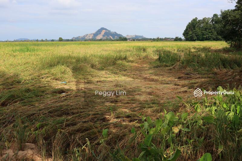 Untuk Dijual - Industrial Land Investment Opportunity, Pahang