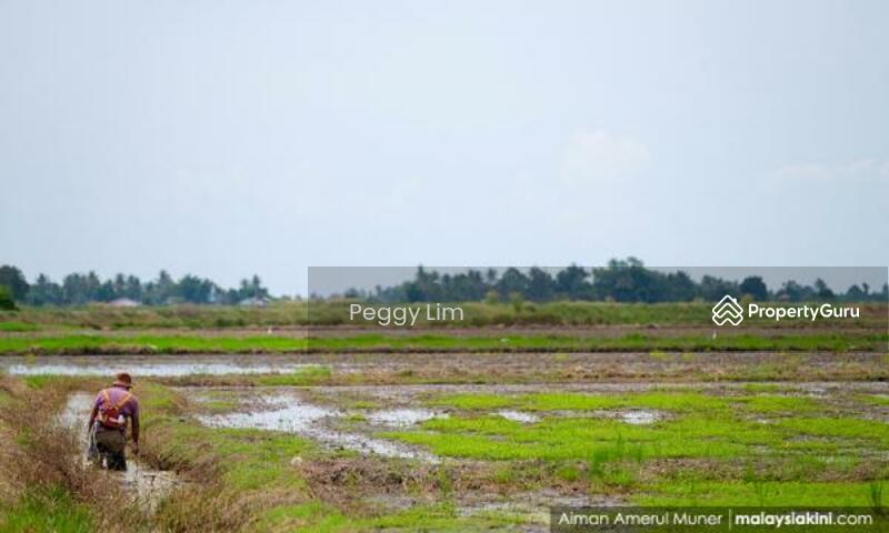 Untuk Dijual - Industrial Land Investment Opportunity, Pahang