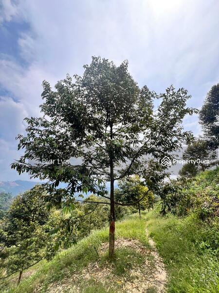 For Sale - desa damai bentong