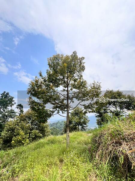 For Sale - desa damai bentong