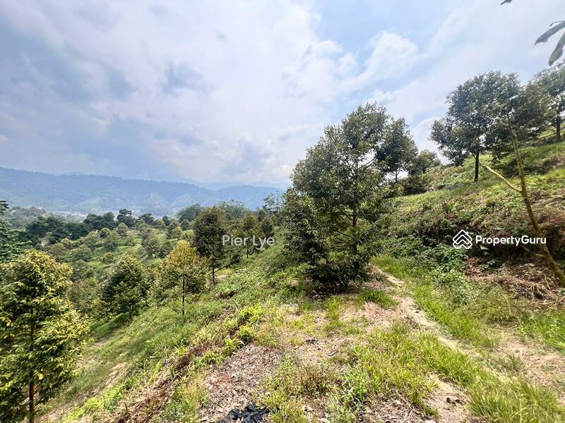 For Sale - desa damai bentong