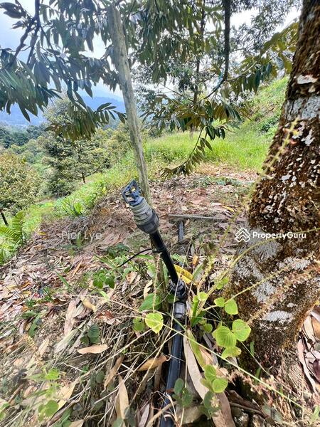 For Sale - desa damai bentong