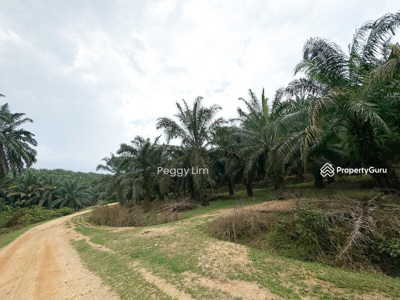Untuk Dijual - Sungai Petani