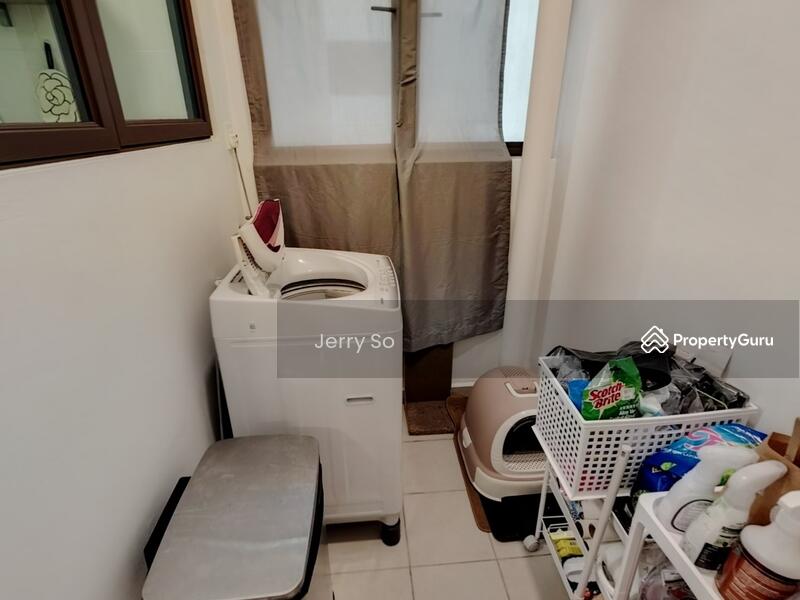 For Rent - Tree Sparina