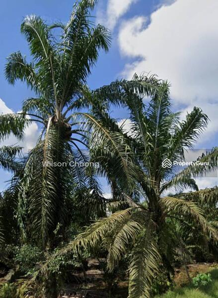 Untuk Dijual - Parit Selangor Pontian