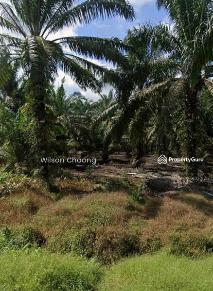 Untuk Dijual - Parit Selangor Pontian