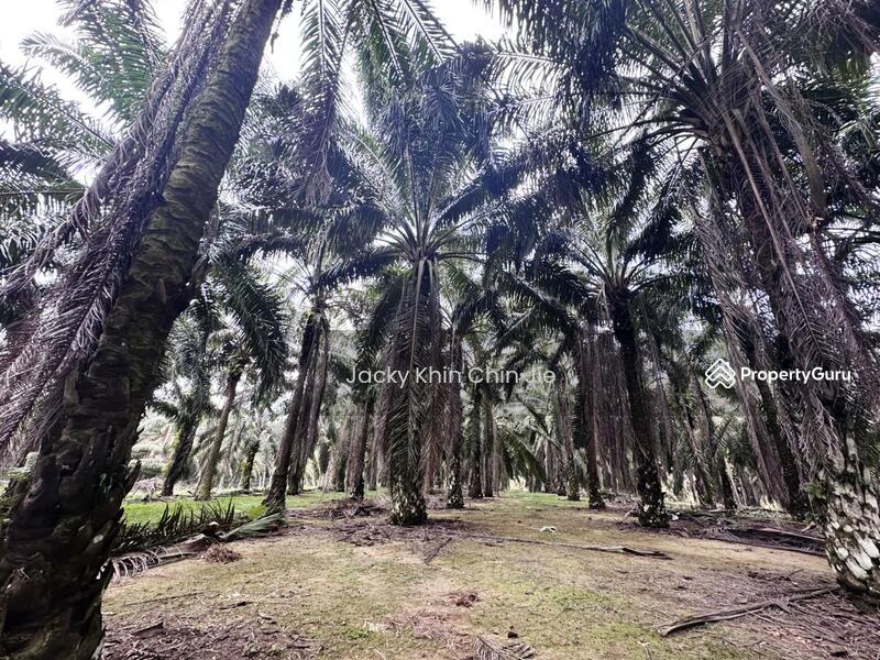 For Sale - Kota Tinggi Walk
