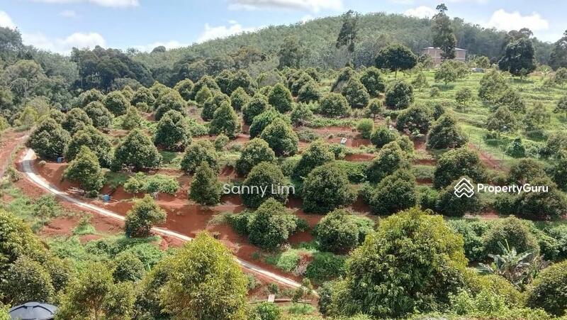 For Sale - Kuala Kangsar, Arena Taman Liman