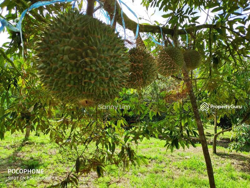 For Sale - Kuala Kangsar, Arena Taman Liman