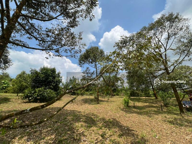 Agricultural Land for Sale in Senai (Johor) - Alvin Seah - PropertyGuru.com.my