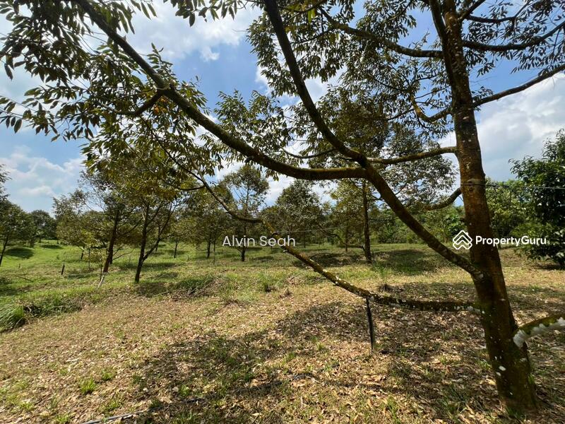 Agricultural Land for Sale in Senai (Johor) - Alvin Seah - PropertyGuru.com.my