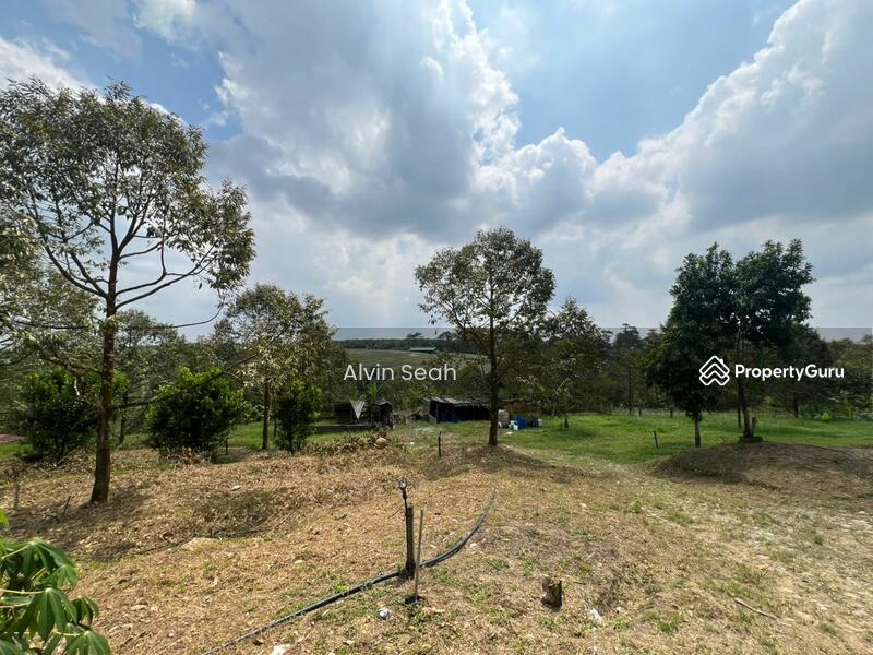 Agricultural Land for Sale in Senai (Johor) - Alvin Seah - PropertyGuru.com.my