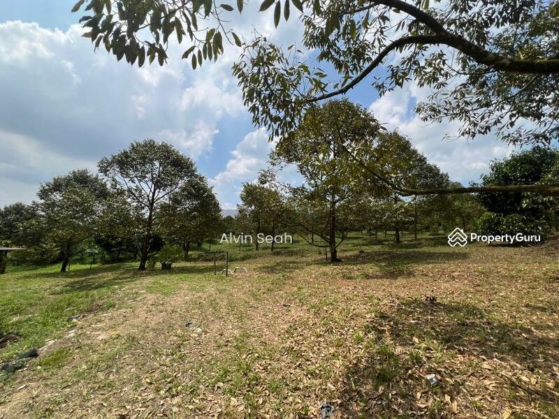 Agricultural Land for Sale in Senai (Johor) - Alvin Seah - PropertyGuru.com.my