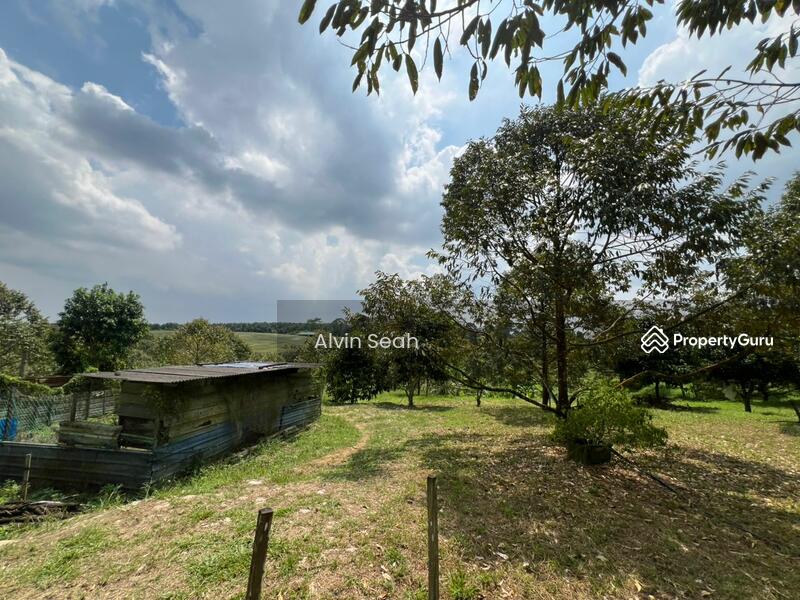 Agricultural Land for Sale in Senai (Johor) - Alvin Seah - PropertyGuru.com.my