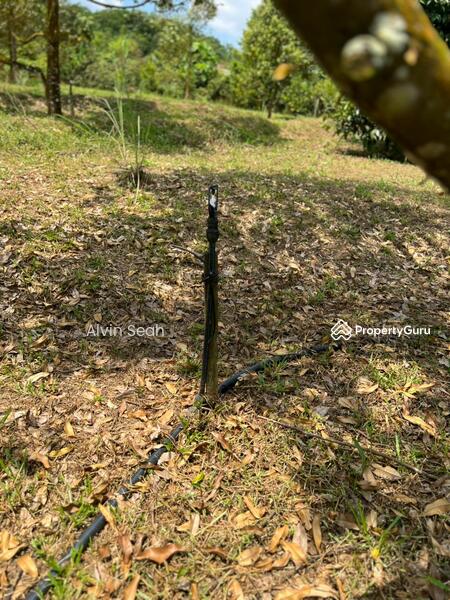 Agricultural Land for Sale in Senai (Johor) - Alvin Seah - PropertyGuru.com.my