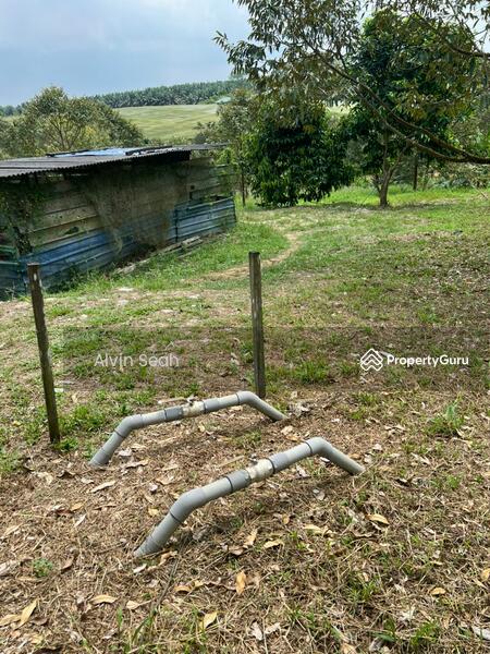 Agricultural Land for Sale in Senai (Johor) - Alvin Seah - PropertyGuru.com.my