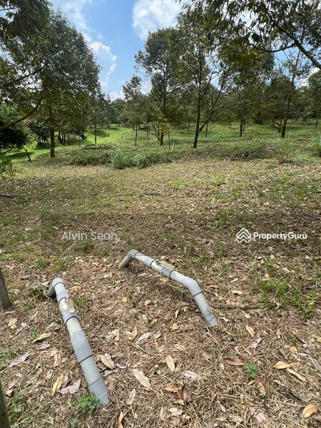 Agricultural Land for Sale in Senai (Johor) - Alvin Seah - PropertyGuru.com.my
