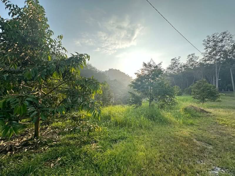 Agricultural Land for Sale in Kampung Dato Harun (Serendah) - Jansen Chow - PropertyGuru.com.my