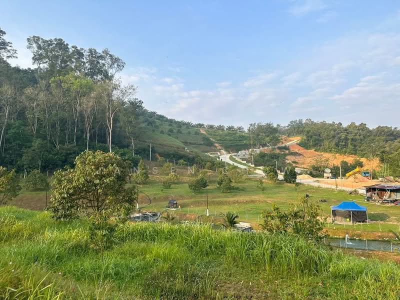 Agricultural Land for Sale in Kampung Dato Harun (Serendah) - Jansen Chow - PropertyGuru.com.my