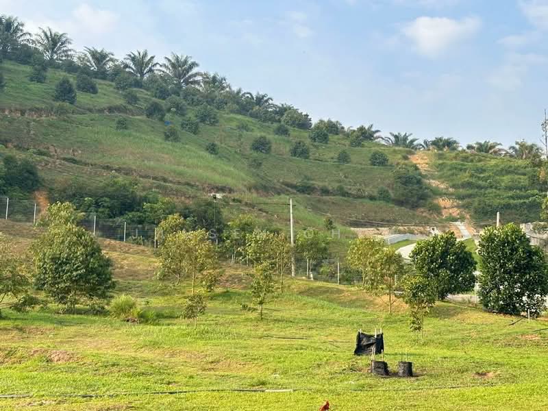Agricultural Land for Sale in Kampung Dato Harun (Serendah) - Jansen Chow - PropertyGuru.com.my