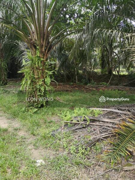 Kampung Bukit Kapar untuk Untuk Dijual - RM 3,500,000, Mac 2026 - Garden - PropertyGuru.com.my