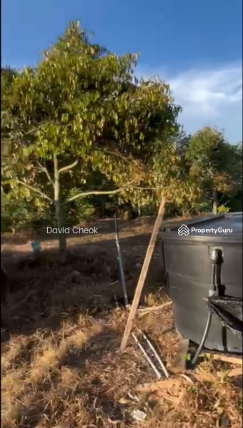 Agricultural Land for Sale in Jimah (Negeri Sembilan) - David Cheok - PropertyGuru.com.my