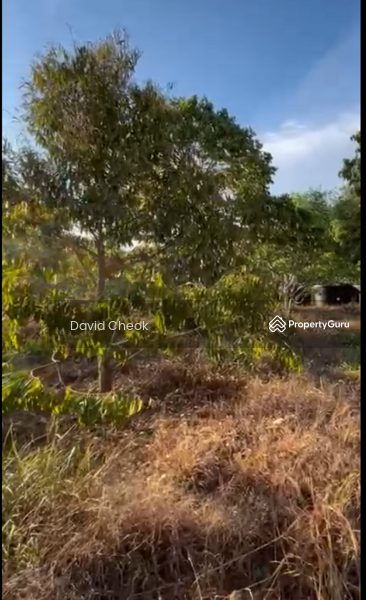Agricultural Land for Sale in Jimah (Negeri Sembilan) - David Cheok - Garden - PropertyGuru.com.my
