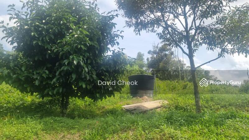 Agricultural Land for Sale in Jimah (Negeri Sembilan) - David Cheok - Garden - PropertyGuru.com.my