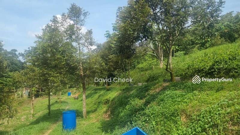 Agricultural Land for Sale in Jimah (Negeri Sembilan) - David Cheok - Garden - PropertyGuru.com.my