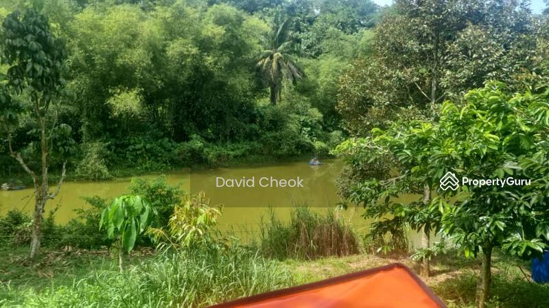 Agricultural Land for Sale in Jimah (Negeri Sembilan) - David Cheok - Others - PropertyGuru.com.my