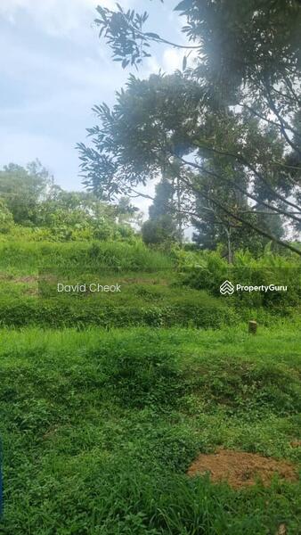 Agricultural Land for Sale in Jimah (Negeri Sembilan) - David Cheok - Garden - PropertyGuru.com.my