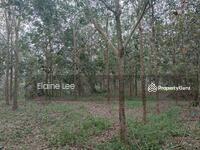 For Sale - Tangkak taman Chin Chin emas