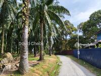 For Sale - Palm Oil, Rembau, Negeri Sembilan, 15 acres, Freehold
