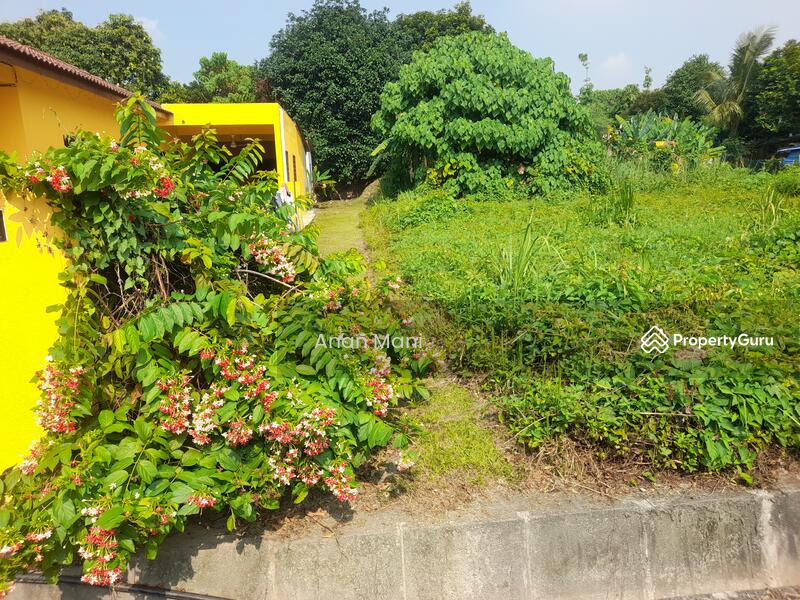 For Sale - KAMPUNG SUNGAI BALAK