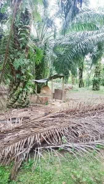 Agricultural Land for Rent in Semenyih (Selangor) - Peggy Lim - Exterior - PropertyGuru.com.my